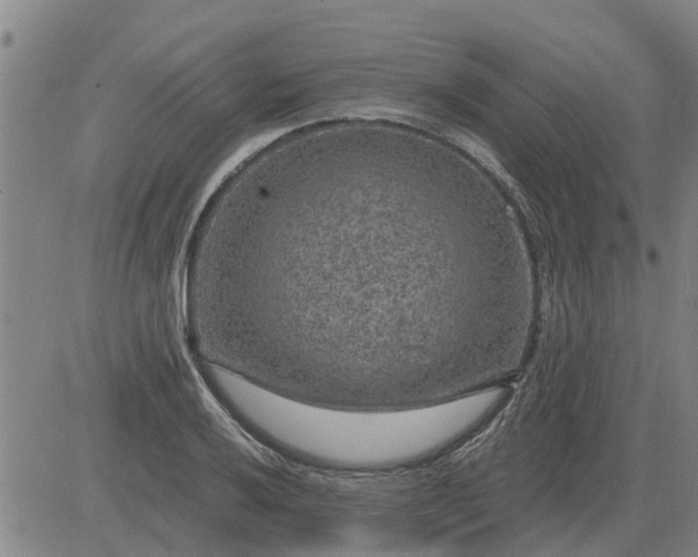 X0000084031032200703022117