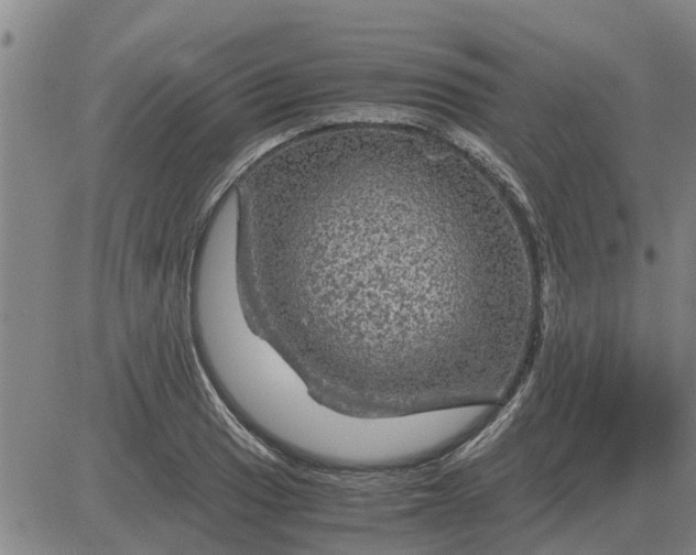 X0000084031033200703022117