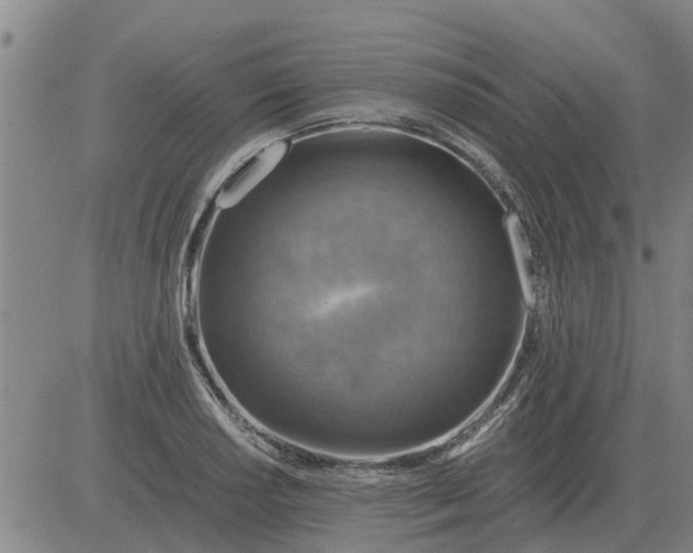 X0000084031034200703022117