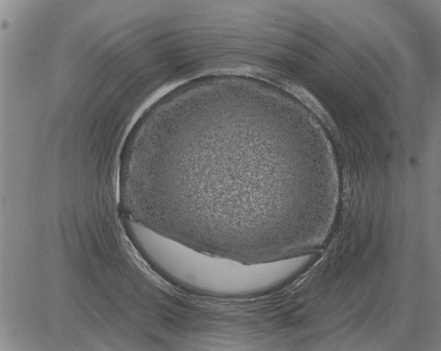 X0000084031036200703022117