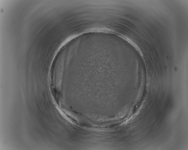 X0000084031037200703022117