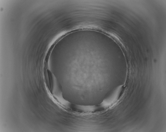 X0000084031038200703022117