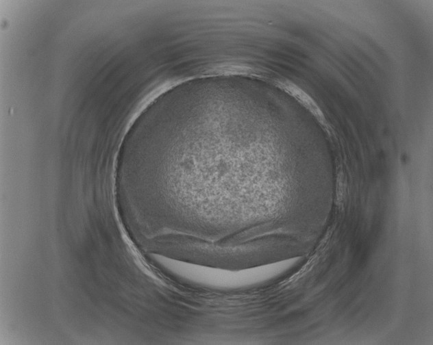 X0000084031039200703022117