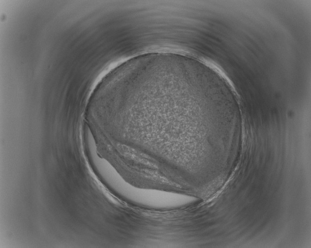 X0000084031040200703022117