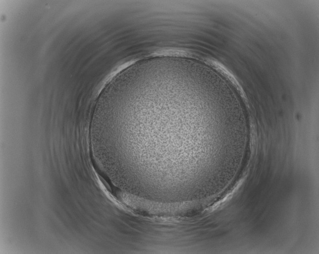 X0000084031041200703022117