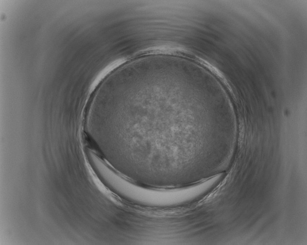 X0000084031042200703022117