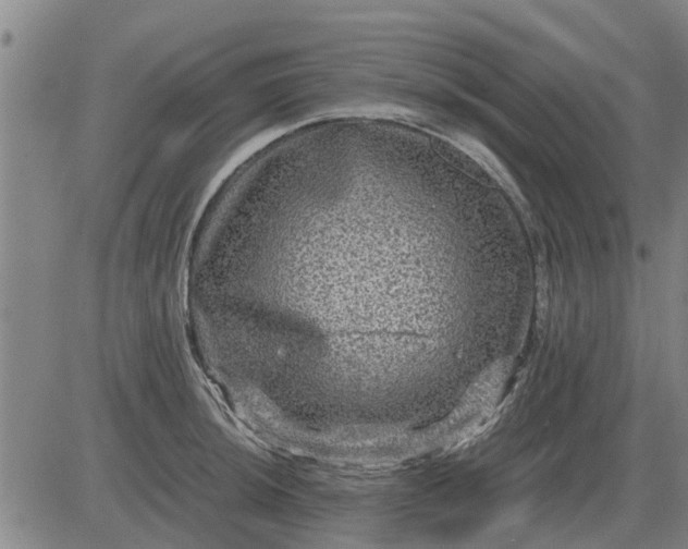 X0000084031044200703022117