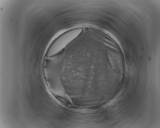 X0000084031045200703022117