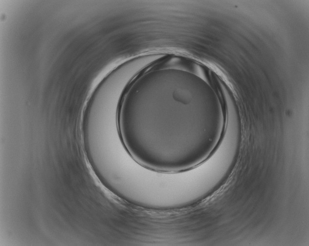 X0000084031046200703022117