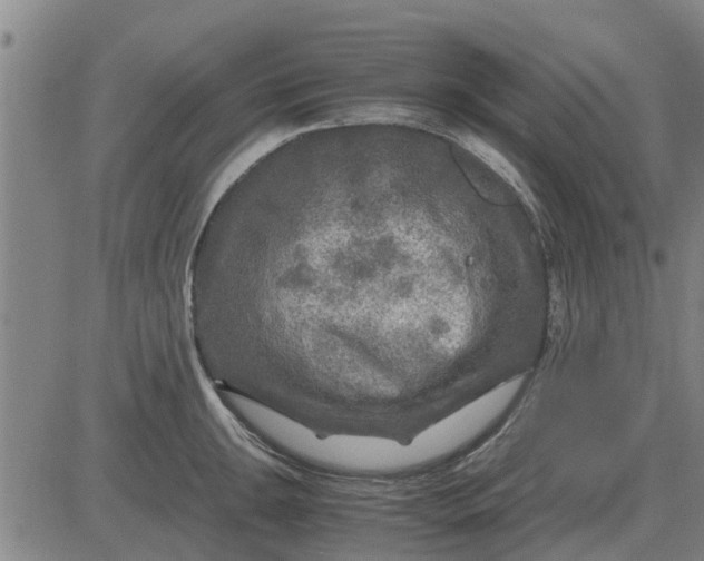 X0000084031047200703022117