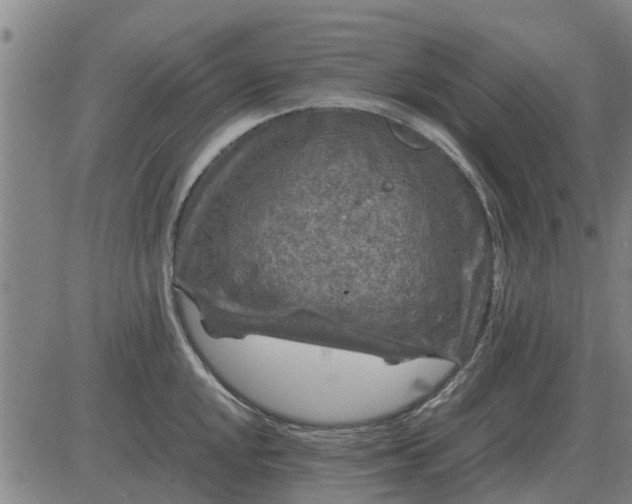 X0000084031048200703022117