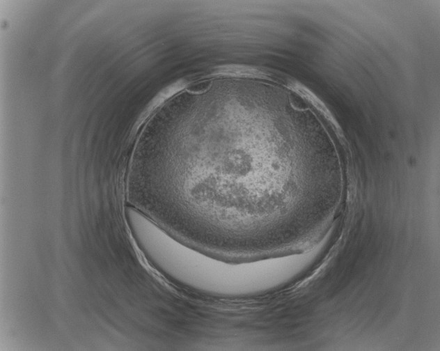 X0000084031049200703022117