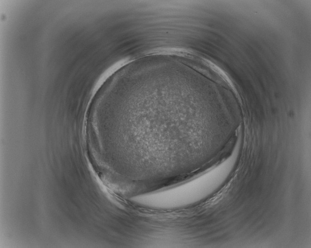 X0000084031050200703022117