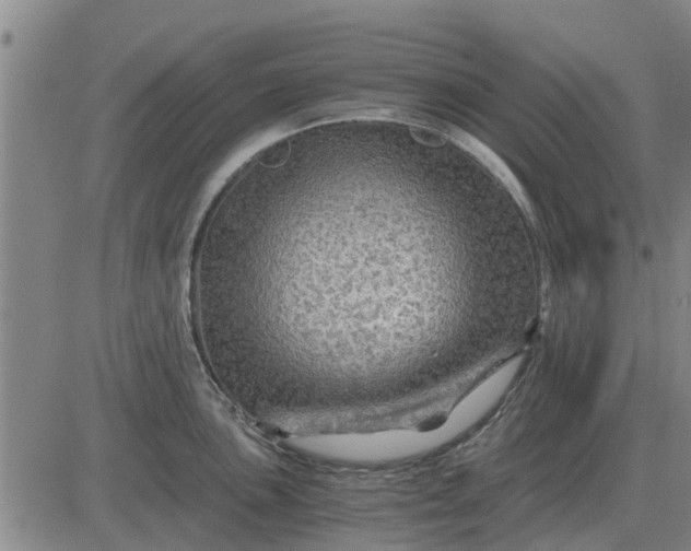 X0000084031051200703022117