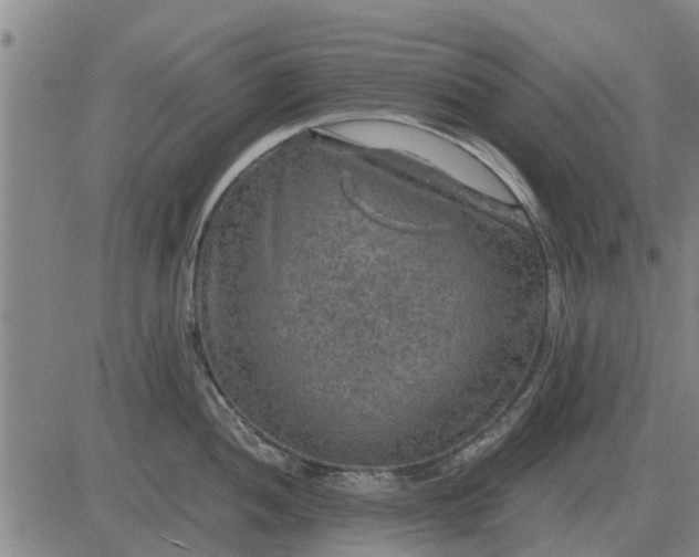 X0000084031052200703022117