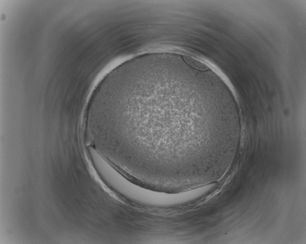 X0000084031053200703022117