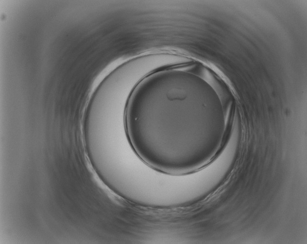 X0000084031054200703022118