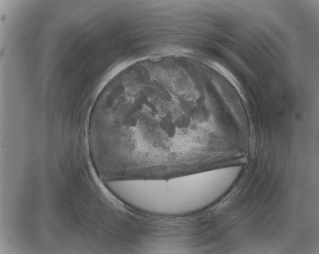 X0000084031055200703022118