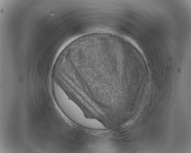 X0000084031056200703022118