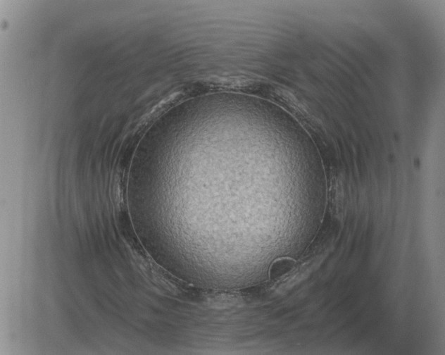 X0000084031058200703022117