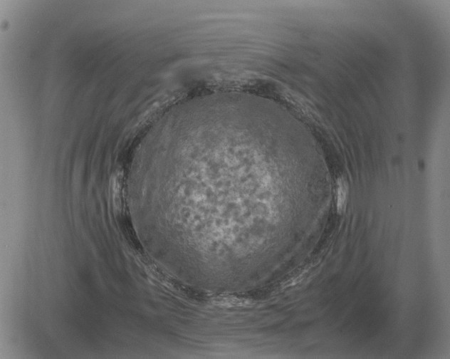 X0000084031059200703022117