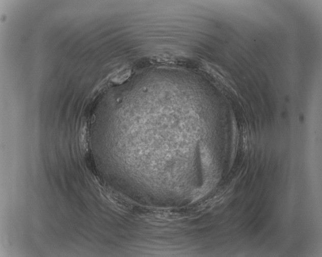 X0000084031060200703022117