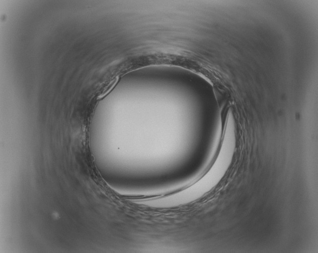 X0000084031061200703022117