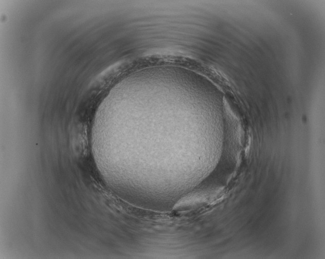 X0000084031062200703022117