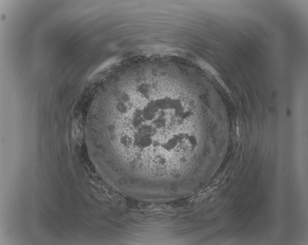 X0000084031063200703022117