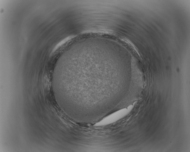 X0000084031064200703022117