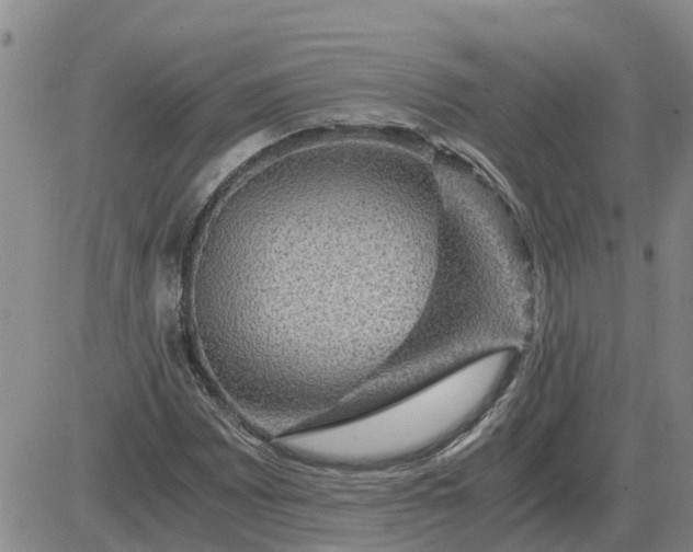 X0000084031065200703022117