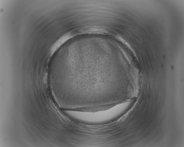 X0000084031066200703022117