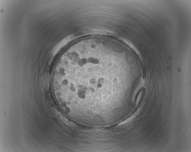 X0000084031067200703022117