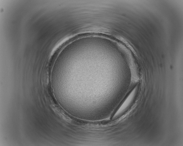 X0000084031069200703022117