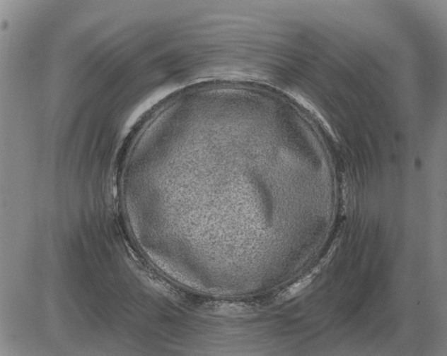 X0000084031070200703022117