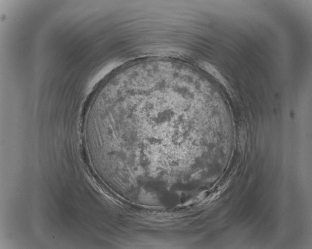 X0000084031071200703022117