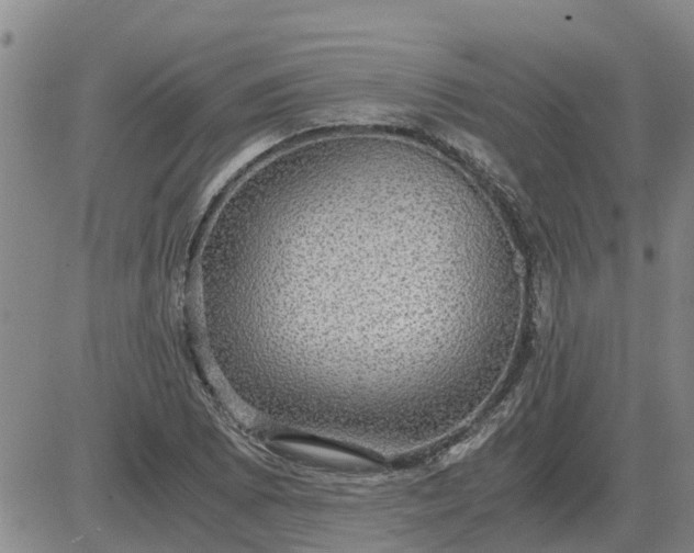 X0000084031073200703022116