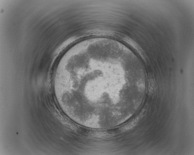 X0000084031074200703022116