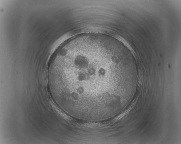 X0000084031075200703022116