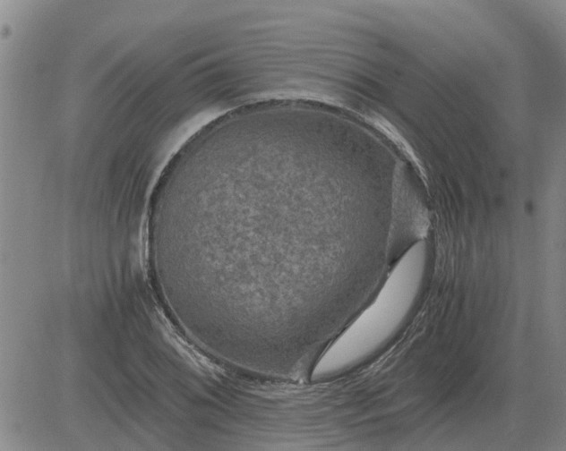 X0000084031076200703022116