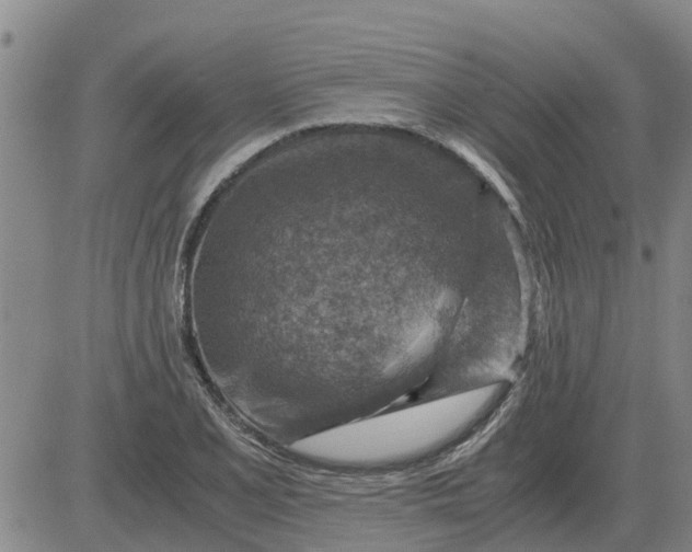 X0000084031077200703022116