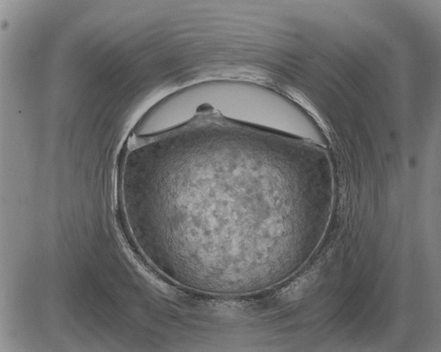 X0000084031079200703022116