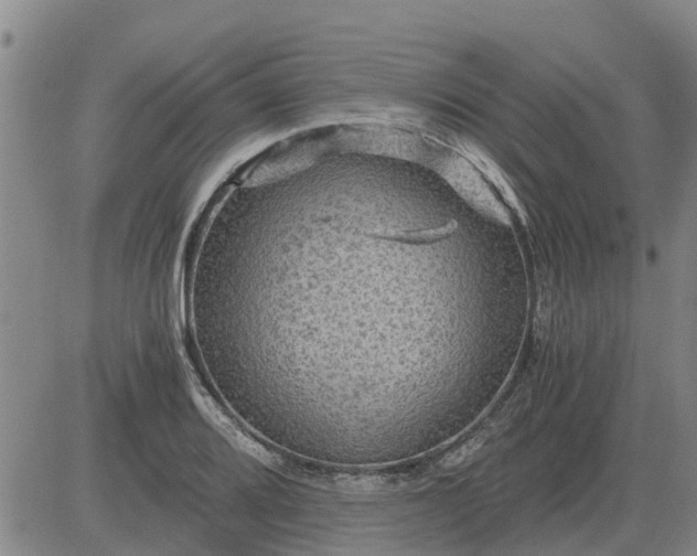 X0000084031080200703022116