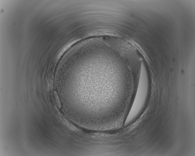 X0000084031081200703022116