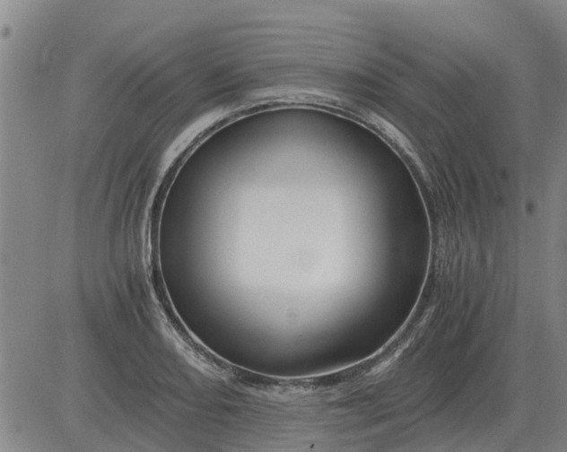 X0000084031082200703022116