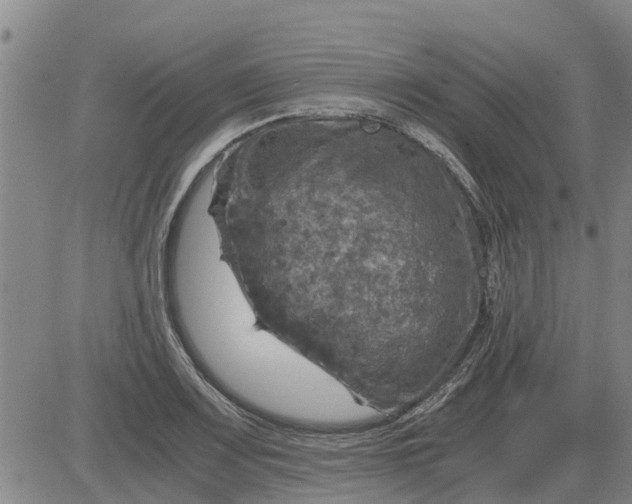 X0000084031083200703022116