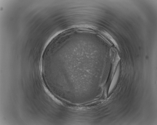 X0000084031084200703022116