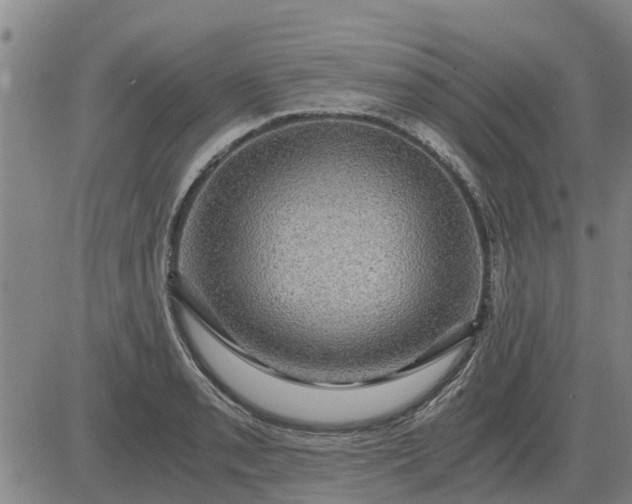 X0000084031085200703022116