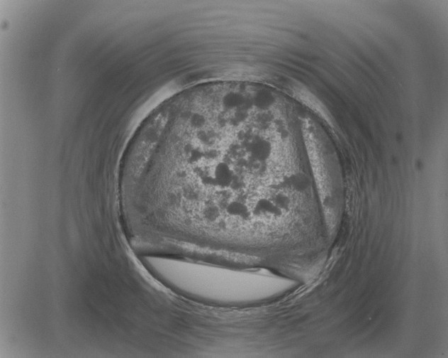 X0000084031087200703022116