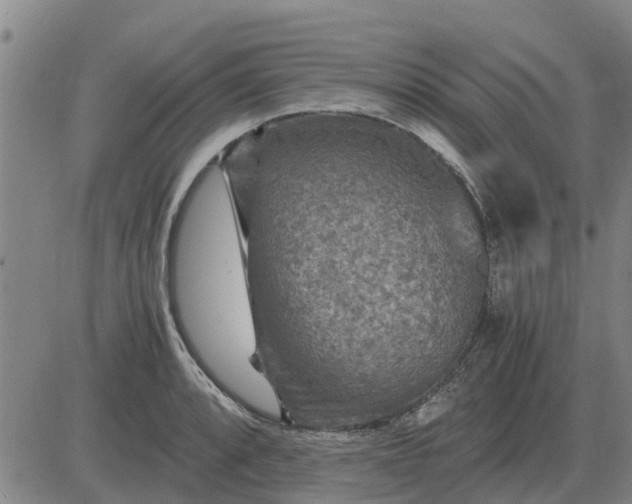 X0000084031088200703022116